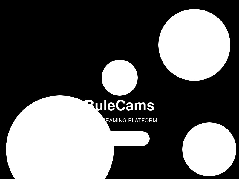 BuleCams